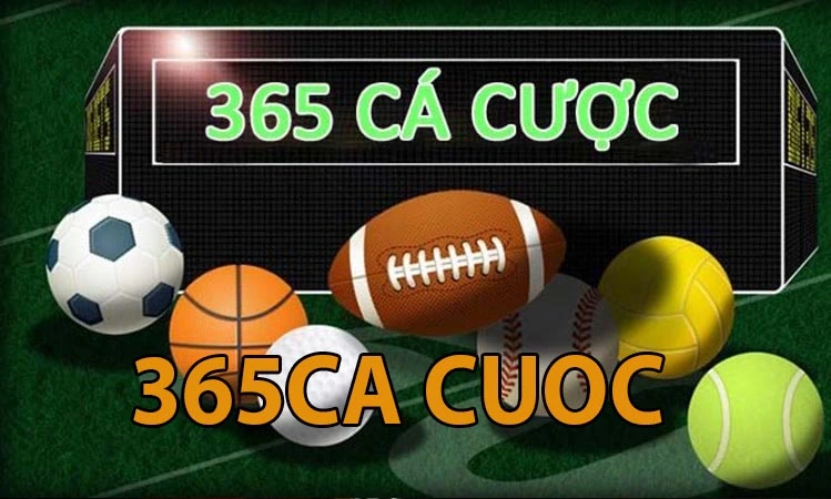 365cacuoc - 365 cá cược - Link vào mọi nhà cái trực tuyến