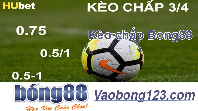 Kèo Chấp Trái Bong88 - Chiến Lược Cá Cược Bóng Đá Hiệu Quả