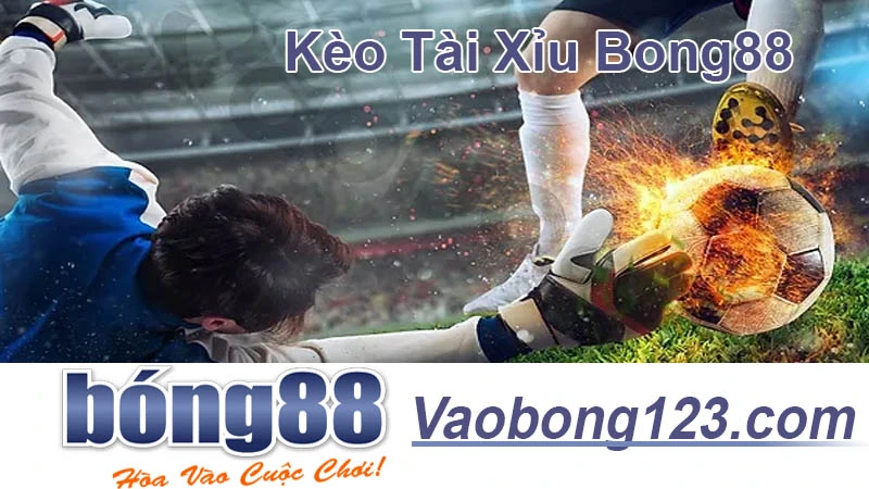 Cách Chơi Kèo Tài Xỉu Bong88 - Chiến Lược Thắng Lợi 90%